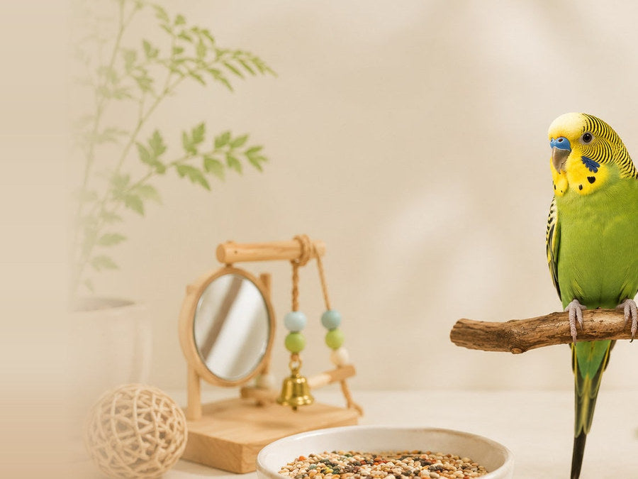 Bird cage accessories - mirror, bell toy, seed bowl and perch
