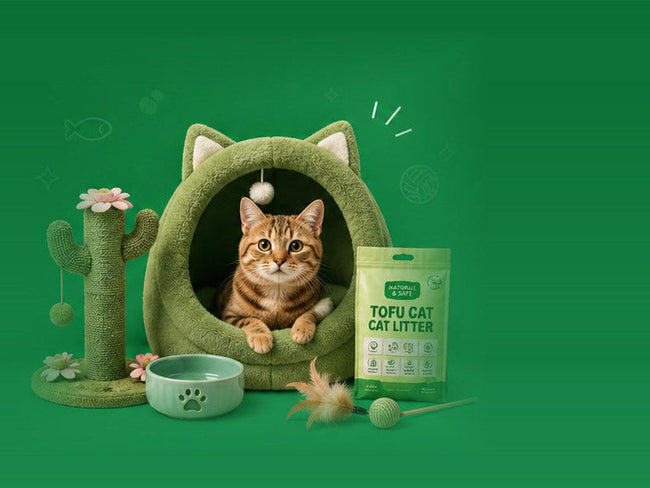 Tabby cat in a cat cave bed beside a scratching post and litter