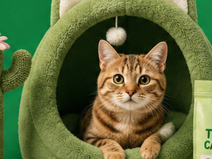 Close-up of a tabby cat resting in a soft cat cave bed