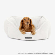 The Super Cloud Bed in Pearl White