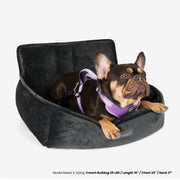 The Car Seat Charcoal Gray M