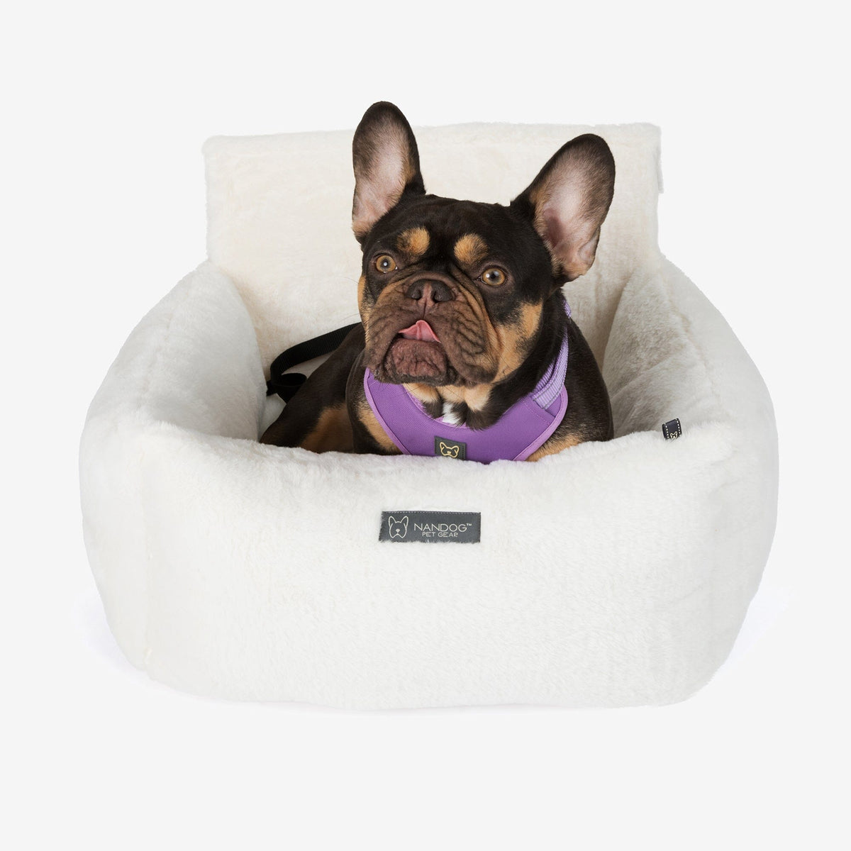 The Car Seat Cloud M
