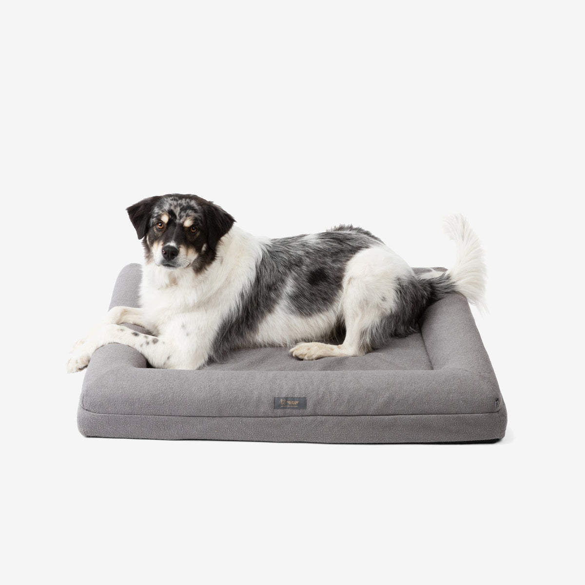 Orthopedic Large Dog Bed – Gray