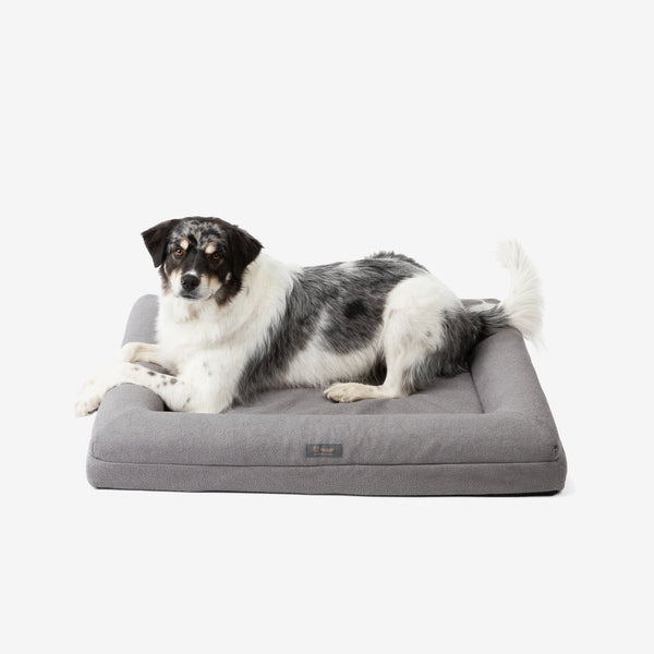 Orthopedic Large Dog Bed – Gray
