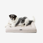 Orthopedic Large Dog Bed – Cream