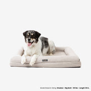 Orthopedic Large Dog Bed – Cream