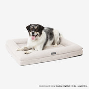 Orthopedic Large Dog Bed – Cream