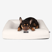 Orthopedic Medium Dog Bed – Cream