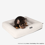Orthopedic Medium Dog Bed – Cream