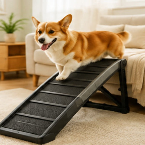 Adjustable Dog Ramp