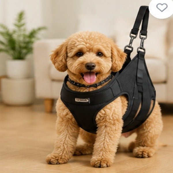 Dog Sling / Lifting Harness