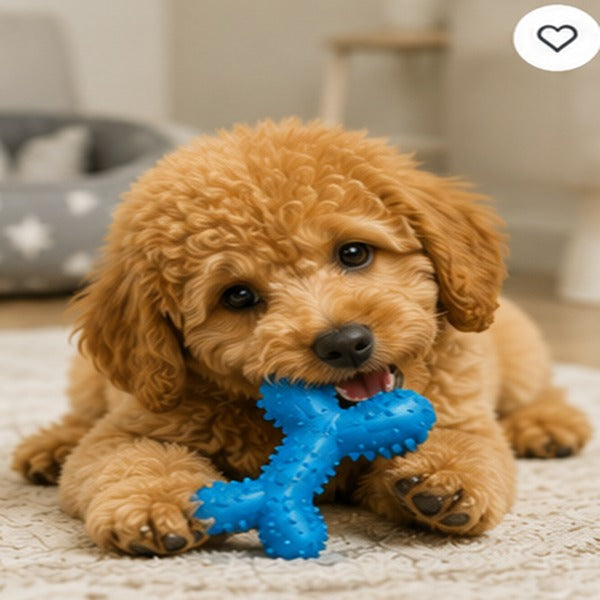 Puppy Teething Toy Set (4-Pack)