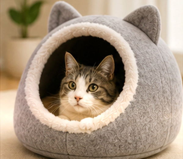 Cat Beds