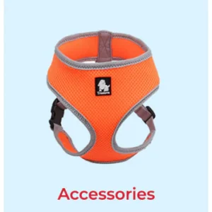 Dog Accessories