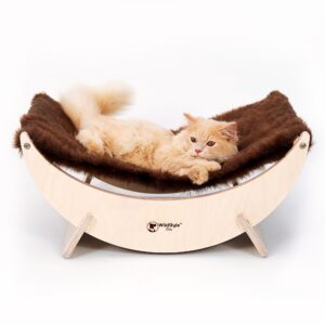 Cat House & Beds