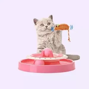 Cat Litter & Accessories