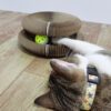 Magic Organ Cat Scratchers 2 in 1 - Funny Shaped Cat Scratching Board - Image 4