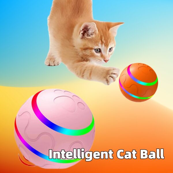 Pet New Cat Wicked Ball Toy - Intelligent Self-Rotating USB Cat Toy