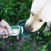 2-in-1 Portable Pet Water Bottle & Food Bowl Dispenser – Foldable, BPA-Free Travel Dog Water & Food Container - Image 2