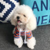 Pet Striped Sweater – Soft, Comfortable Cotton Vest for All Pets - Image 7