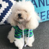 Pet Striped Sweater – Soft, Comfortable Cotton Vest for All Pets - Image 2